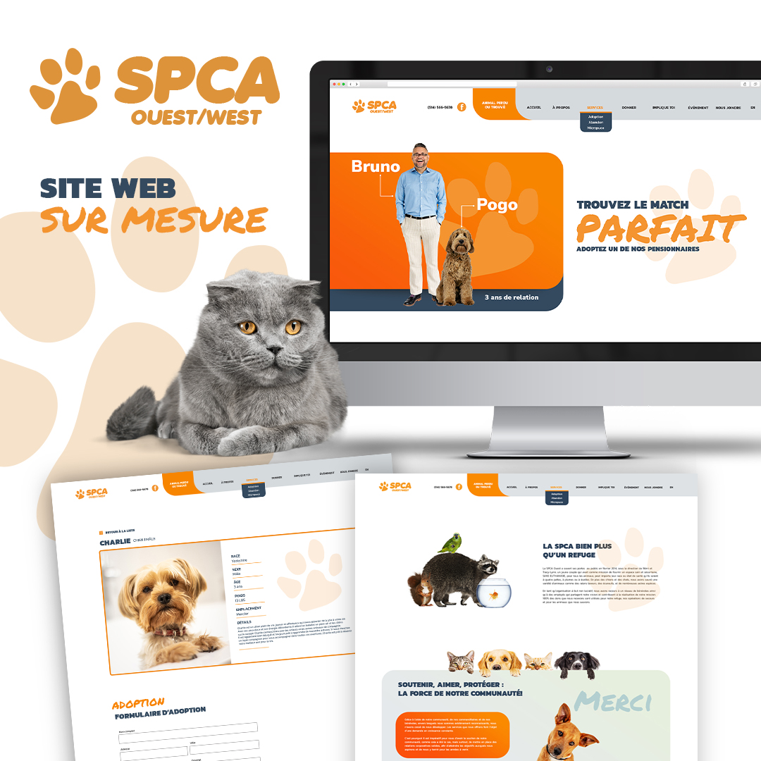 Lien vers https://spcaouest.ca/